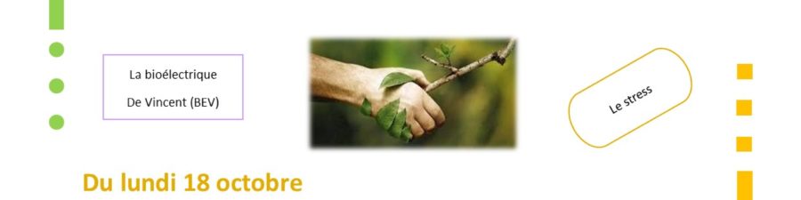 PRENEZ VOTRE SANTE EN MAIN PRENEZ VOTRE SANTE EN MAIN